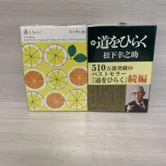 Item thumbnail for item b7620aaf-d112-4c10-84f1-7c03ede6504e