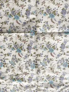 Item thumbnail for item b353b822-ba1f-4b6a-a11b-b5fc836b0bcf