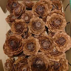 Item thumbnail for item 4315e6c2-8186-42d4-9e38-1d6d2e77289d