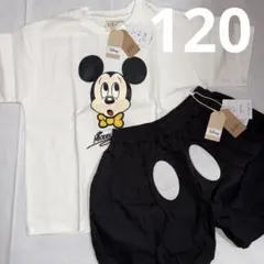 120 リトシー ディズニー 半袖 Tシャツ かぼちゃパンツ セットアップ
