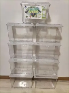 ハコガメ カメ専用飼育ケース 4個セット 中サイズ - メルカリ
