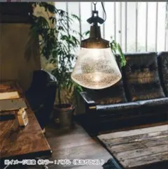 インターフォルム Acton インダストリアル ペンダントランプ 照明