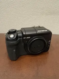 2025年最新】オリンパスE-300の人気アイテム - メルカリ