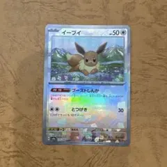イーブイ
