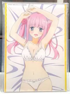 咲‐Saki‐ 和 とらのあな 連動特典 お風呂ポスター - メルカリ