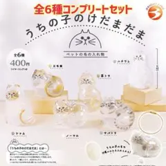 正規品★うちの子のけだまだま★猫ガチャ★毛玉入れ　全6種コンプ第一弾