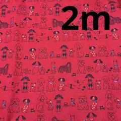 シーチング★２枚限り★わんちゃん★レッド★