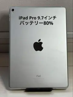 iPad Pro 9.7インチ Wi-Fi 128GB スペースグレイジャンク品 iPad Pro 9.7インチ Wi-Fiモデル 128GB MLMV2J/A [スペース