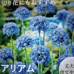 おさわ様 リクエスト 3点 まとめ商品