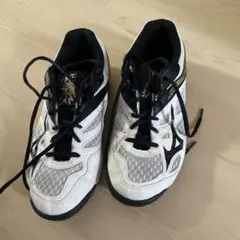 バレーボールシューズ バレーボール