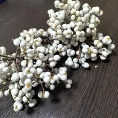 ナンキンハゼの実　ドライフラワー