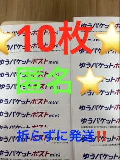 ゆうパケットポストmini 専用封筒 10枚セットその203