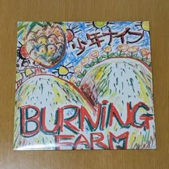 少年ナイフ – BURNING FARM 8インチレコード NS05MDIzLnBuZw.jpeg