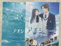 映画　アオショー　パンフレット　フライヤー