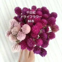 千日紅のドライフラワー80本➕️サービス(メルカリ便で発送)¥630 千日紅のドライフラワー80本➕️サービス(メルカリ便で発送)¥630