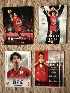 バレーボール男子日本代表 関田誠大 トレーディングカード 3枚セット