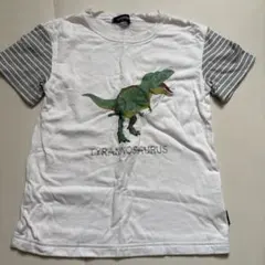 klädskåp ティラノサウルス 半袖Tシャツ 120cm