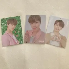 SEVENTEEN ディノ　haru トレカ