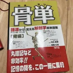 骨単