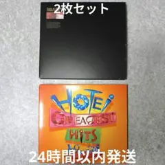 氷室京介/Case of HIMURO 布袋寅泰/グレイテストヒッツ 2枚セット