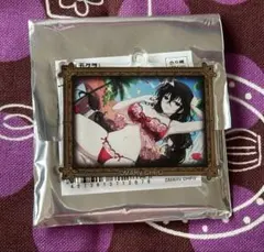 2025年最新】閃乱カグラ ドンキホーテの人気アイテム - メルカリ