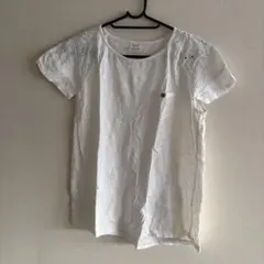 Zara Girls ホワイト Tシャツ 152cm
