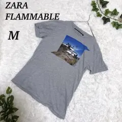 ZARA FLAMMABLE 半袖Tシャツ グレー M ユニセックスのサムネイル