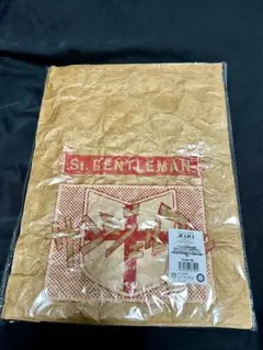 新品未開封】サンジェルマン バッグ タイベック素材 ジョジョ展 荒木