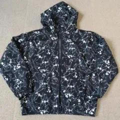 Item thumbnail for item ed365964-c2d0-4c4a-9b66-29a7206ac0b6