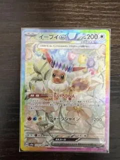 2025年最新】イーブイ ex sarの人気アイテム - メルカリ