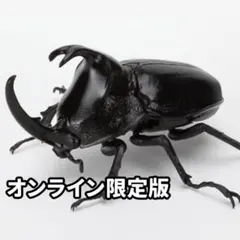 パンカブト（ショート） いきもの大図鑑 かぶとむし09 オンライン限定版