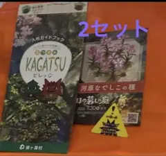 ほの暮しの庭　配布物　TGS TGS2025 夜廻りシリーズ　夜廻り　2セット