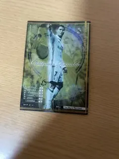 Item thumbnail for item c49f6cb4-ef59-433c-bcf2-366d39b14c02