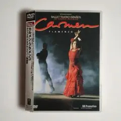 892 カルメン・フラメンコ ラファエル・アギラル・スペイン舞踊団