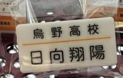 ハイキュー!! 烏野高校 日向翔陽 ネームプレート