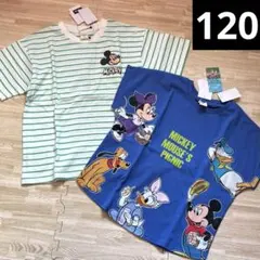 ディズニー　ミッキー　リトシー　ボーダー　ワッペン　半袖　Tシャツ　120