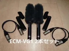 2026年最新】sony ガンマイク ecm－vg1の人気アイテム - メルカリ