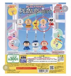 スヌーピー　PEANUTS BESTめじるしアクセサリー