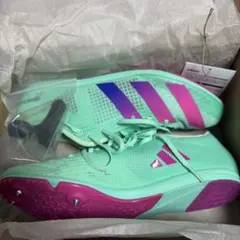 フェンシングシューズ adidas(アディダス) ダルタニャン 27.5 - メルカリ