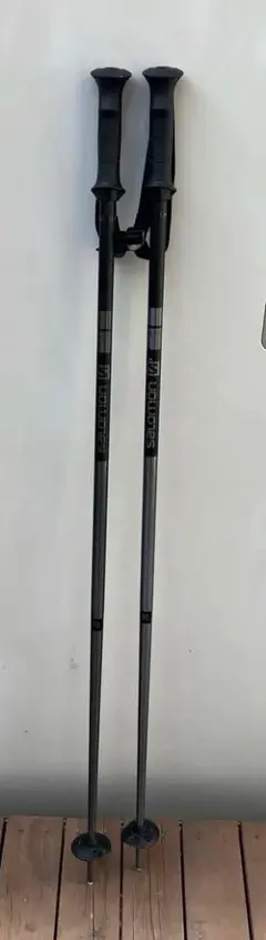 SALOMON ストック ARCTIC 110cm