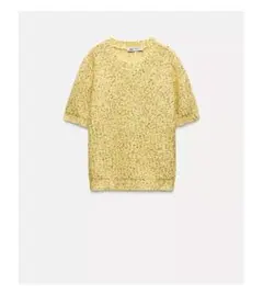 2月末まで！【ZARA】イエロー スパンコール 半袖ニット