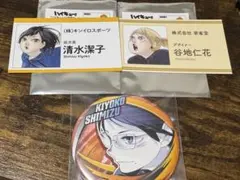 ハイキュー ファンパーク コレクション缶バッジ 名刺カード　清水潔子