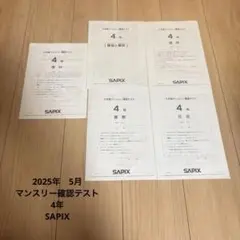 2025年最新】sapixの人気アイテム - メルカリ