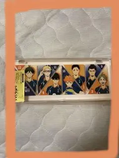 ハイキュー!! 烏野高校　プラコレ