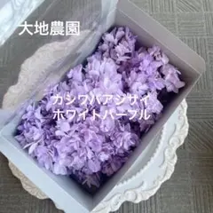 済　まりりん様　ご専用