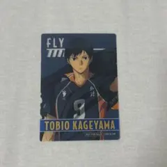 2025年最新】影山飛雄 カードの人気アイテム - メルカリ