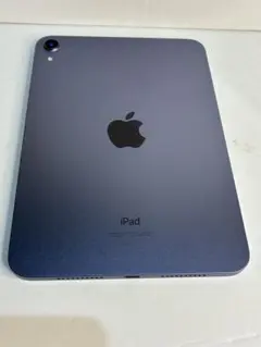 【バッテリー100%】 iPad mini 第6世代 64GB Wi-Fi