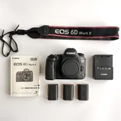 4726ショット‼︎】Canon eos 6D markII 2 ボディ 本体 - メルカリ