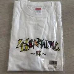 Item thumbnail for item 89710d9f-2209-4737-adeb-2da51f6a73f3