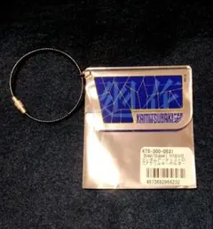 Item thumbnail for item 30134a5b-ea31-4028-9a9a-e82a3ad51f97